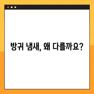 방귀 냄새의 비밀| 건강을 위한 4가지 원인 탐구 | 냄새의 원인과 개선 솔루션