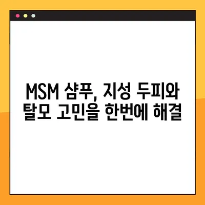 지성 두피 탈모 고민? MSM 샴푸가 당신의 해결사가 될 수 있습니다! | 지성 두피, 탈모, MSM 샴푸, 두피 케어, 탈모 관리