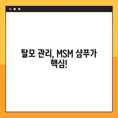 지성 두피 탈모 고민? MSM 샴푸가 당신의 해결사가 될 수 있습니다! | 지성 두피, 탈모, MSM 샴푸, 두피 케어, 탈모 관리