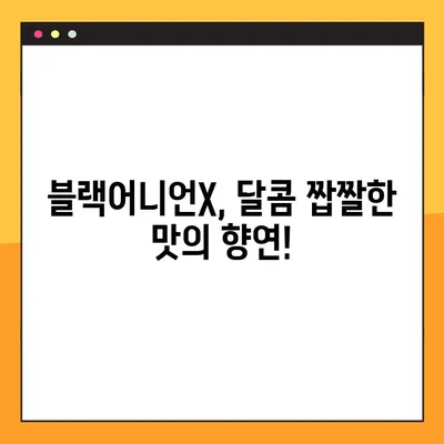 버거킹 블랙어니언X 후기| 솔직한 맛 평가, 가격, 그리고 총점! | 블랙어니언X, 버거킹 신메뉴, 솔직 후기