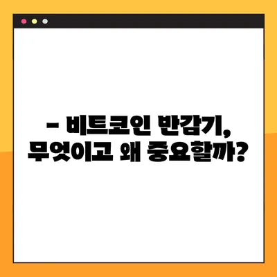 비트코인 반감기, 궁금한 모든 것! | 비트코인, 반감기, 가격, 영향, 분석, 전망