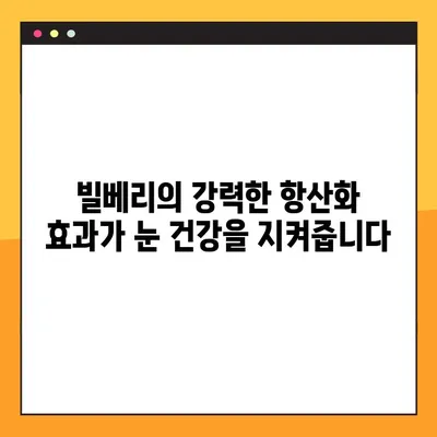 당뇨병성 망막병증 천연 치료에 도움이 되는 빌베리의 효능| 당신의 눈 건강을 위한 솔루션 | 당뇨눈, 천연 치료, 빌베리, 눈 건강