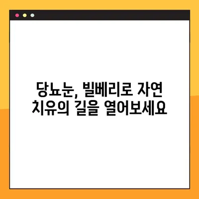 당뇨병성 망막병증 천연 치료에 도움이 되는 빌베리의 효능| 당신의 눈 건강을 위한 솔루션 | 당뇨눈, 천연 치료, 빌베리, 눈 건강
