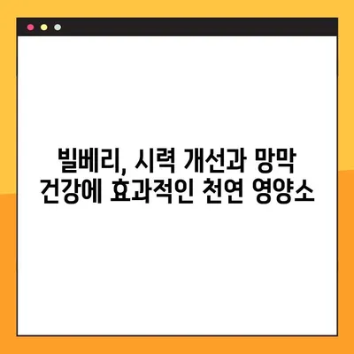 당뇨병성 망막병증 천연 치료에 도움이 되는 빌베리의 효능| 당신의 눈 건강을 위한 솔루션 | 당뇨눈, 천연 치료, 빌베리, 눈 건강