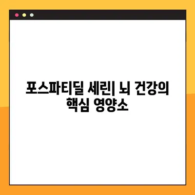포스파티딜 세린, 기억력 향상의 열쇠? | 뇌 건강과 기억력 증진에 대한 심층 분석