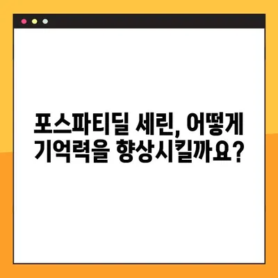 포스파티딜 세린, 기억력 향상의 열쇠? | 뇌 건강과 기억력 증진에 대한 심층 분석
