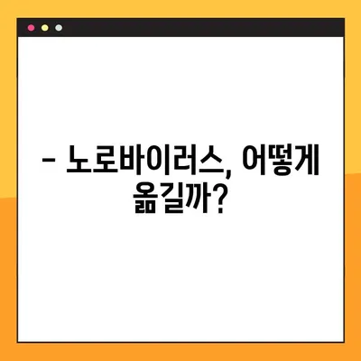 노로바이러스 예방, 이것만 알면 끝! | 전염 경로, 증상, 예방법 총정리