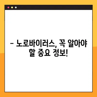 노로바이러스 예방, 이것만 알면 끝! | 전염 경로, 증상, 예방법 총정리