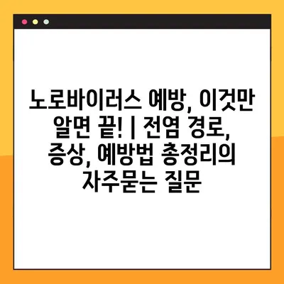 노로바이러스 예방, 이것만 알면 끝! | 전염 경로, 증상, 예방법 총정리