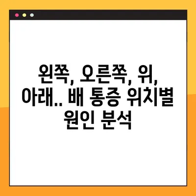 배 통증, 위치별 원인 분석 가이드| 어디가 아픈지에 따라 달라지는 진단 | 배 통증 원인 파악, 통증 완화 팁