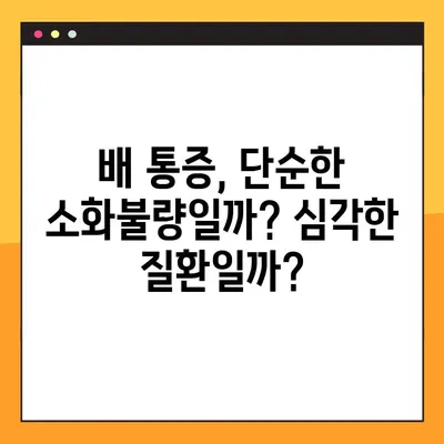 배 통증, 위치별 원인 분석 가이드| 어디가 아픈지에 따라 달라지는 진단 | 배 통증 원인 파악, 통증 완화 팁