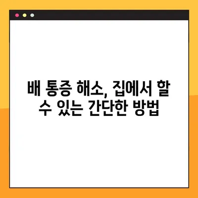 배 통증, 위치별 원인 분석 가이드| 어디가 아픈지에 따라 달라지는 진단 | 배 통증 원인 파악, 통증 완화 팁