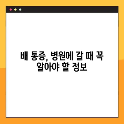 배 통증, 위치별 원인 분석 가이드| 어디가 아픈지에 따라 달라지는 진단 | 배 통증 원인 파악, 통증 완화 팁