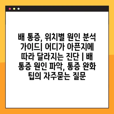 배 통증, 위치별 원인 분석 가이드| 어디가 아픈지에 따라 달라지는 진단 | 배 통증 원인 파악, 통증 완화 팁