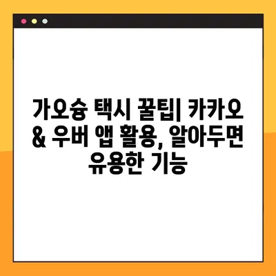 가오슝 이동의 선택| 카카오택시 vs 우버택시 | 가격, 편의성 비교 & 추천