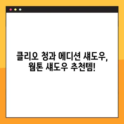 웜톤 찰떡템! 올리브영에서 찾은 클리오 청과 에디션 섀도우 추천 | 웜톤 섀도우, 클리오, 올리브영, 섀도우 추천, 쿨톤 섀도우