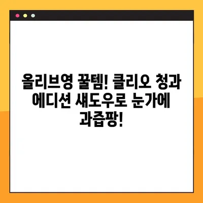 웜톤 찰떡템! 올리브영에서 찾은 클리오 청과 에디션 섀도우 추천 | 웜톤 섀도우, 클리오, 올리브영, 섀도우 추천, 쿨톤 섀도우