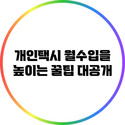 개인택시 월수입을 높이는 꿀팁 대공개