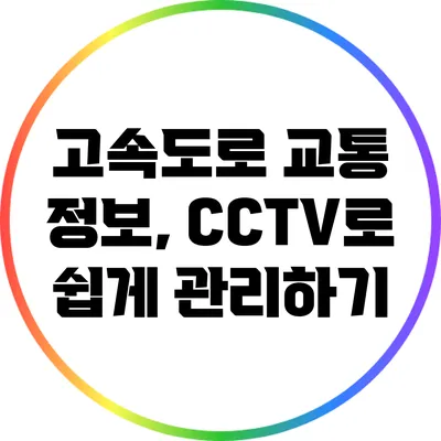 고속도로 교통 정보, CCTV로 쉽게 관리하기