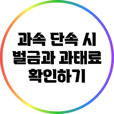 과속 단속 시 벌금과 과태료 확인하기