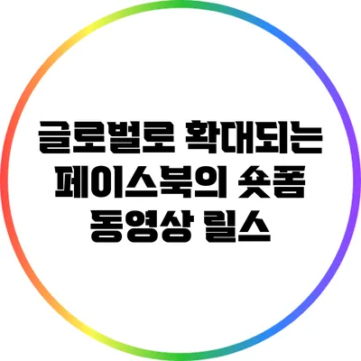 글로벌로 확대되는 페이스북의 숏폼 동영상 릴스