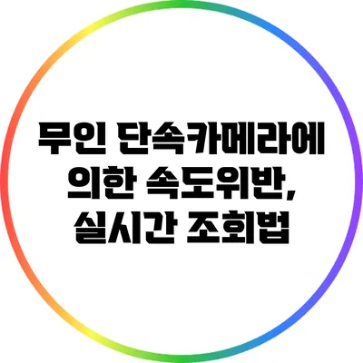 무인 단속카메라에 의한 속도위반, 실시간 조회법