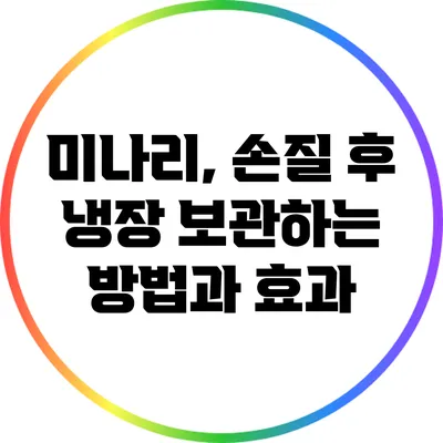 미나리, 손질 후 냉장 보관하는 방법과 효과