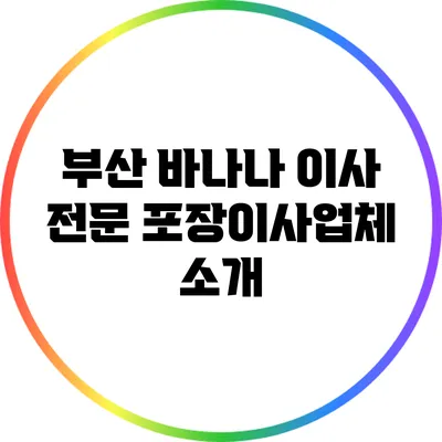 부산 바나나 이사: 전문 포장이사업체 소개