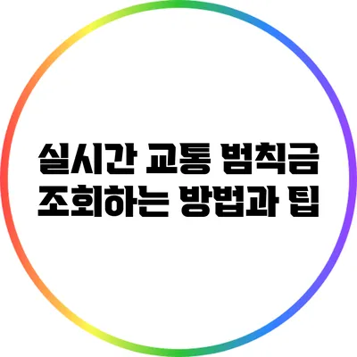 실시간 교통 범칙금 조회하는 방법과 팁