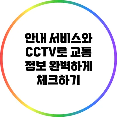안내 서비스와 CCTV로 교통 정보 완벽하게 체크하기