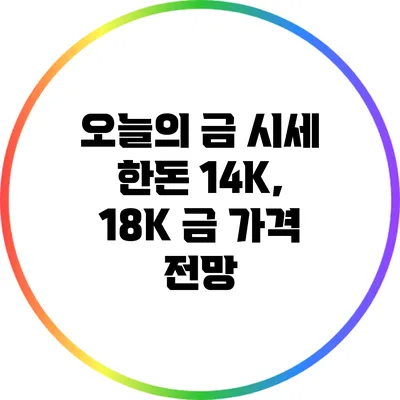 오늘의 금 시세: 한돈 14K, 18K 금 가격 전망