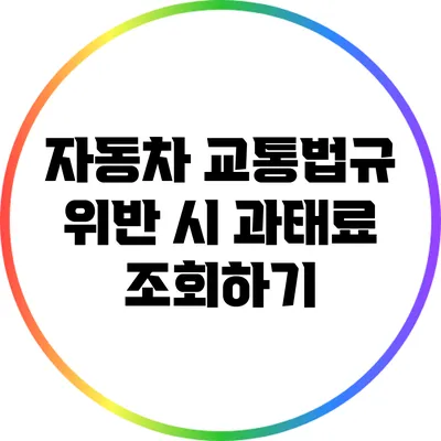 자동차 교통법규 위반 시 과태료 조회하기