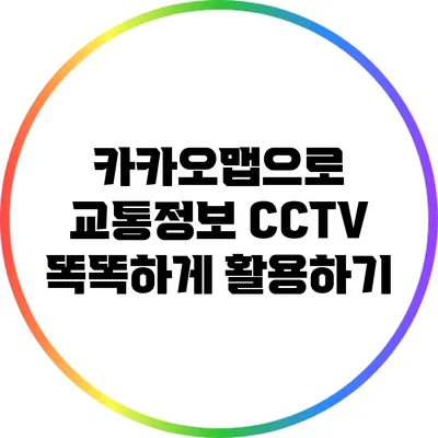 카카오맵으로 교통정보 CCTV 똑똑하게 활용하기