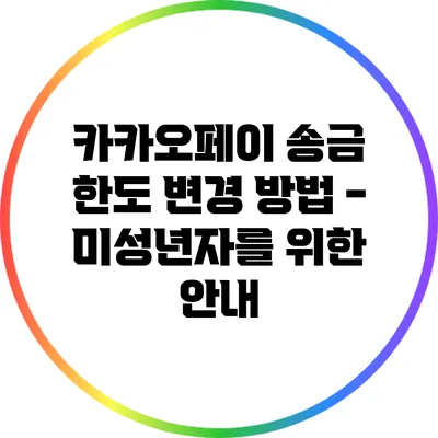 카카오페이 송금 한도 변경 방법 - 미성년자를 위한 안내