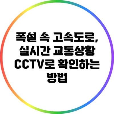 폭설 속 고속도로, 실시간 교통상황 CCTV로 확인하는 방법