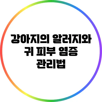 강아지의 알러지와 귀 피부 염증 관리법