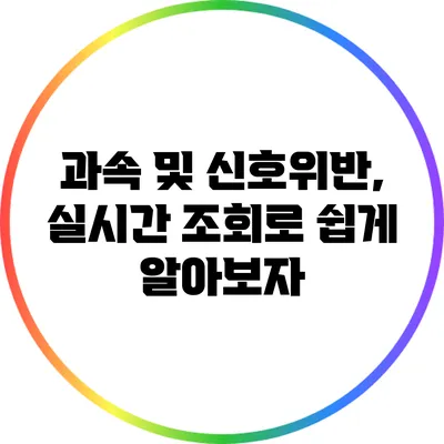 과속 및 신호위반, 실시간 조회로 쉽게 알아보자