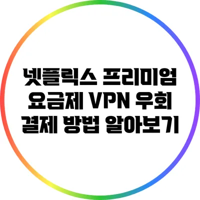 넷플릭스 프리미엄 요금제 VPN 우회 결제 방법 알아보기