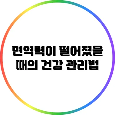 면역력이 떨어졌을 때의 건강 관리법