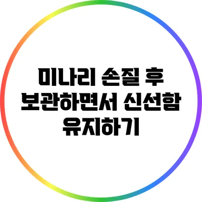 미나리 손질 후 보관하면서 신선함 유지하기
