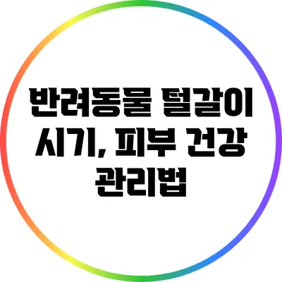반려동물 털갈이 시기, 피부 건강 관리법