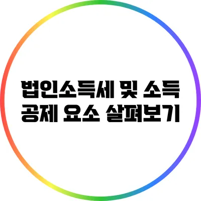 법인소득세 및 소득 공제 요소 살펴보기