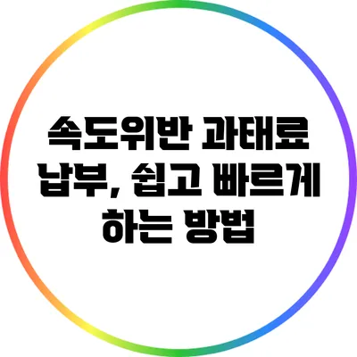 속도위반 과태료 납부, 쉽고 빠르게 하는 방법