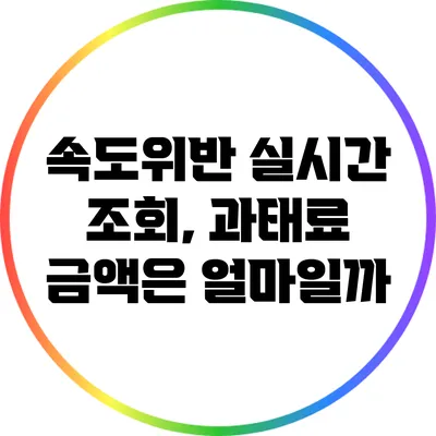 속도위반 실시간 조회, 과태료 금액은 얼마일까?
