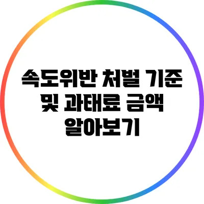 속도위반 처벌 기준 및 과태료 금액 알아보기
