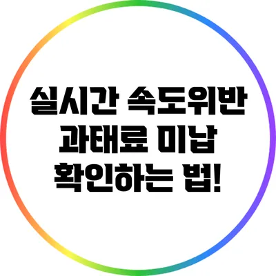 실시간 속도위반 과태료 미납 확인하는 법!