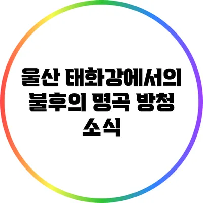 울산 태화강에서의 불후의 명곡 방청 소식
