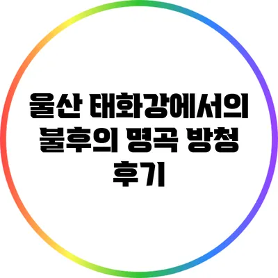 울산 태화강에서의 불후의 명곡 방청 후기