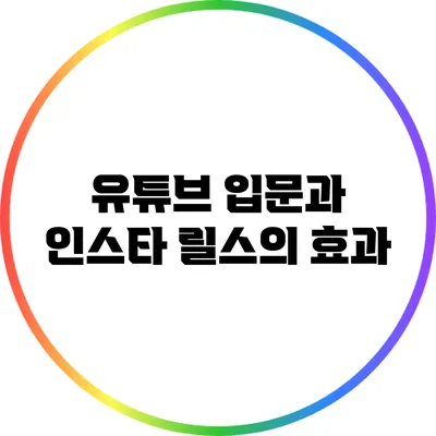 유튜브 입문과 인스타 릴스의 효과