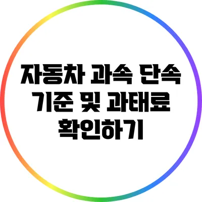 자동차 과속 단속 기준 및 과태료 확인하기